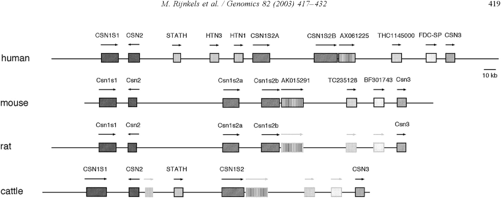 RijnkelsGenomics03Fig1A.png